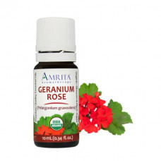 GERANIUM ROSE玫瑰天竺葵